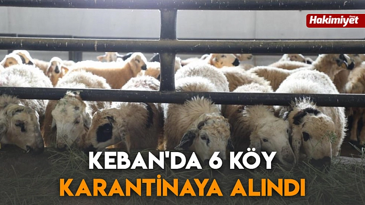 Keban'da 6 köy karantinaya alındı