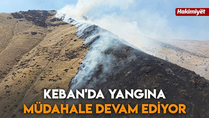 Keban'da yangına müdahale devam ediyor