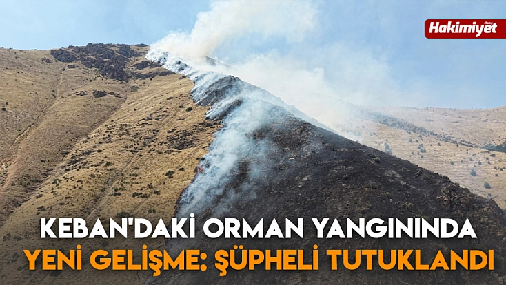 Keban'daki orman yangınında yeni gelişme: Şüpheli tutuklandı