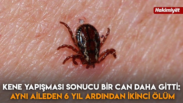 Kene yapışması sonucu bir can daha gitti: aynı aileden 6 yıl ardından ikinci ölüm