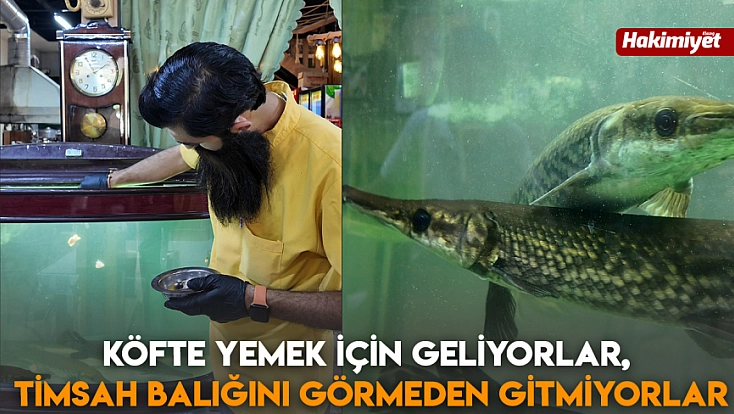 Köfte yemek  İçin Geliyorlar, Timsah Balığını Görmeden Gitmiyorlar