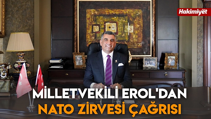 Milletvekili Erol'dan NATO Zirvesi çağrısı