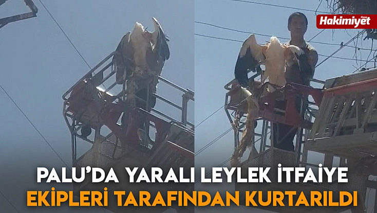 Palu’da yaralı leylek itfaiye ekipleri tarafından kurtarıldı