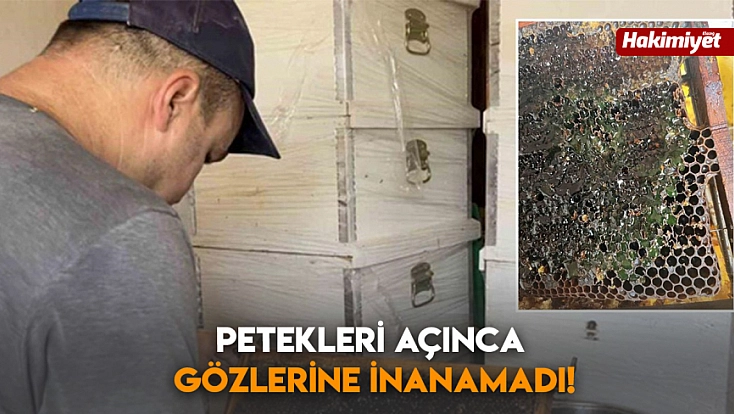 Petekleri açınca gözlerine inanamadı!