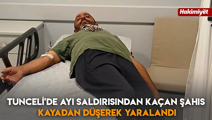 Tunceli'de Ayı saldırısından kaçan şahıs, kayadan düşerek yaralandı
