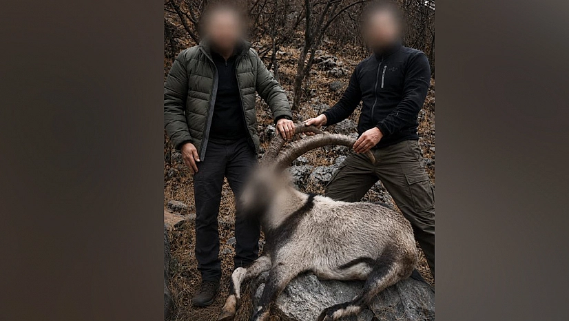 6 yıl sonra ortaya çıktı: yasa dışı yaban keçisi avcılarına ceza