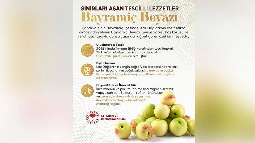 Bayramiç Beyazı'na Avrupa Birliği'nden tescilli lezzet vurgusu