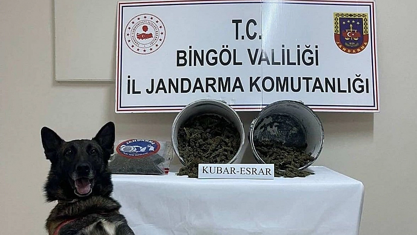 Bingöl'de 2,1 kilo esrar ele geçirildi, şüpheli tutuklandı