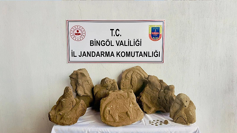 Bingöl'de kaçak tarihi eser operasyonu