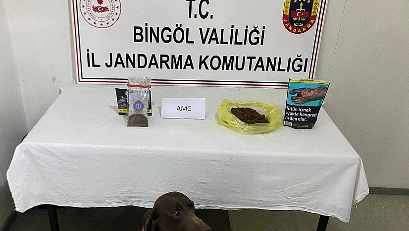 Bingöl'de yolcunun üzerinden bonzai çıktı