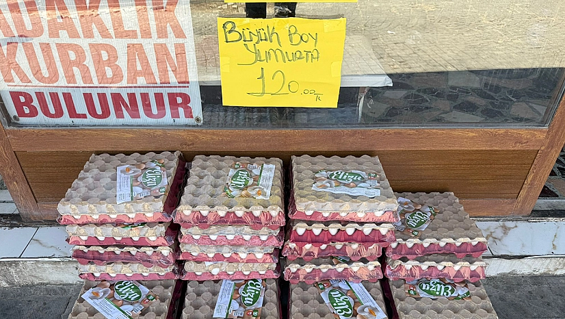 Diploma yüzsüzlüğü