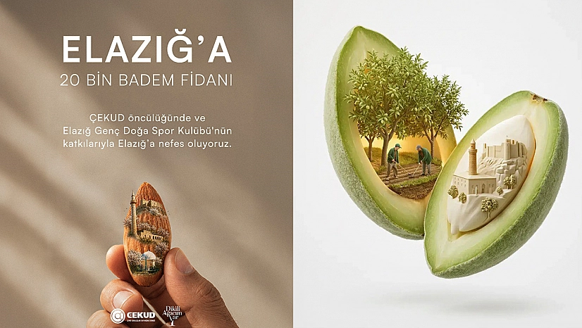 Elazığ'da atıl arazilere badem fidanı hamlesi