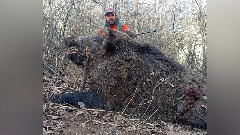 Elazığ'da avlandı, görenler aslan sandı