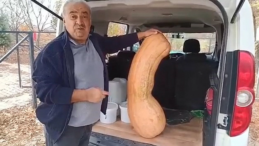 Elazığ'da bahçeden 47 kiloluk rekor kabak çıktı