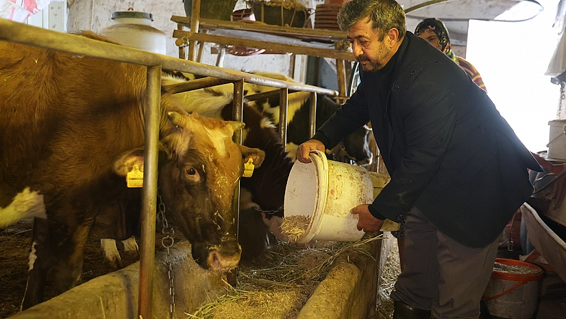 Elazığ'da besicilerin dondurucu soğuklarla mücadelesi