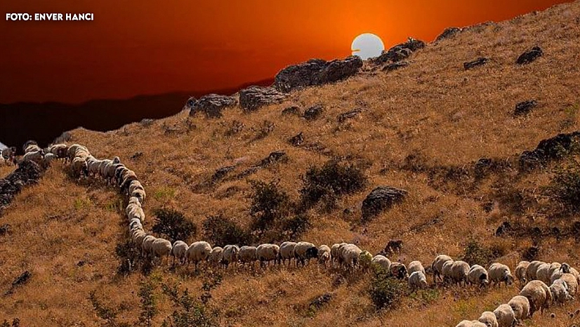 Elazığ'da bugün hava nasıl olacak? (18.11.2025)