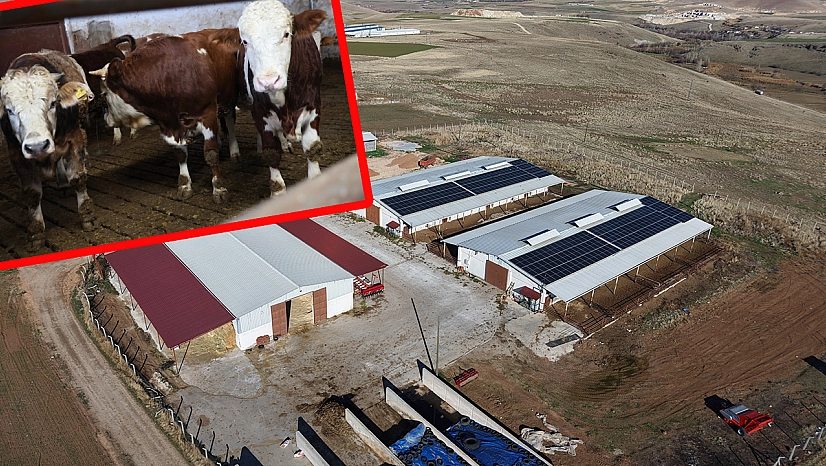 Elazığ'da devlet desteğiyle hayaller gerçeğe dönüştü