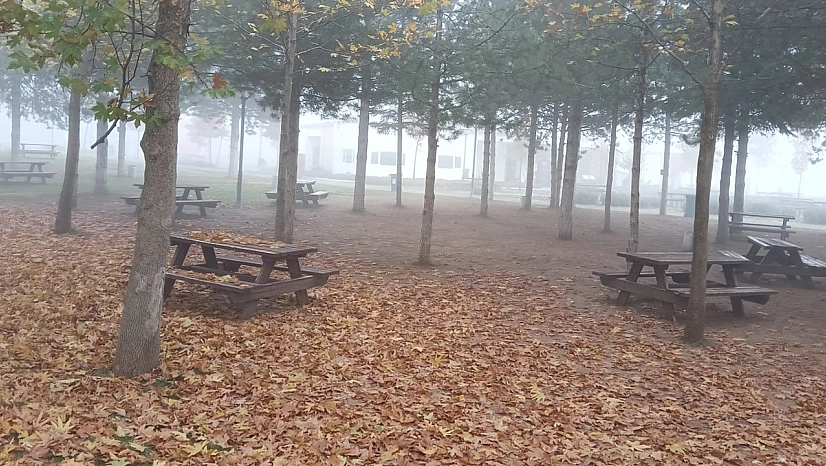 Elazığ'da göz gözü görmedi!