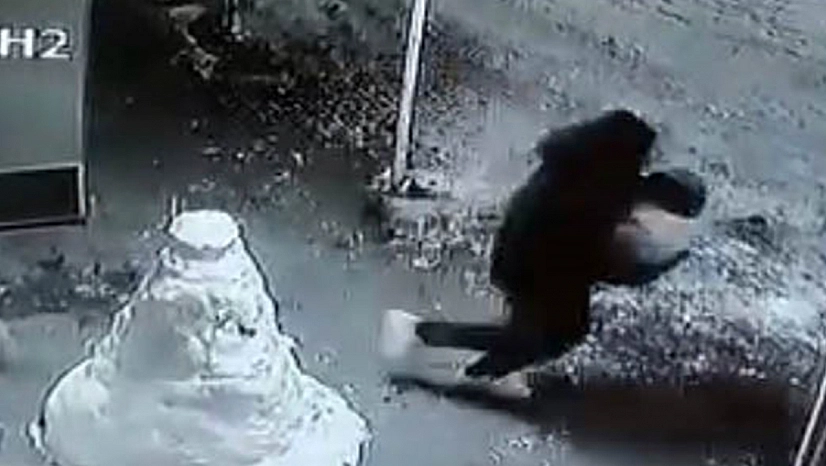 Elazığ'da ilginç hırsızlık: Kardan adamın kafasını alıp kaçtı