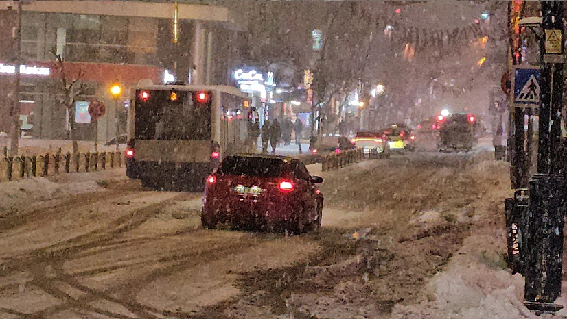 Elazığ'da kar yağışı etkisini sürdürüyor