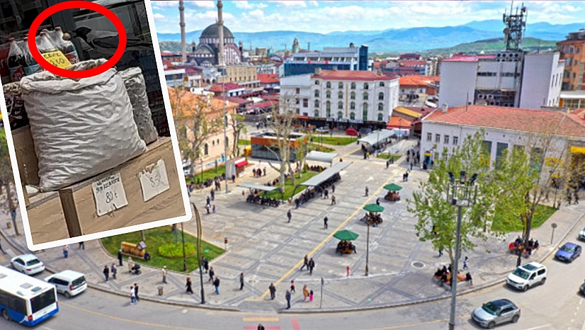 Elazığ'da karganın ceviz hırsızlığı kameraya yansıdı