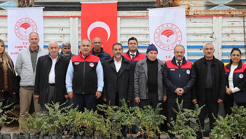 Elazığ'da sumak üretimi artıyor