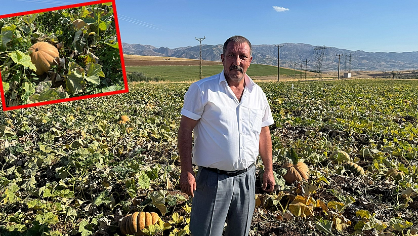 Elazığ'da üretilen o ürün dünyaya açılıyor