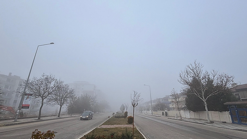 Elazığ'da Yoğun Sis Etkili Oldu
