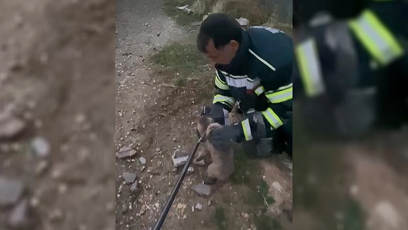 Elazığ'da yürek ısıtan kurtarma operasyonu