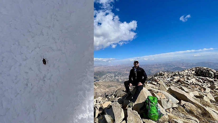 Elazığlı Dağcılar Bingöl Sülbüs Dağı'nda Şaşırtan Türle Karşılaştı!