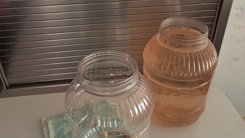 Elazığlılar kışın sofralarından eksik etmiyor! Uzmanlar faydasını saymakla bitiremiyor