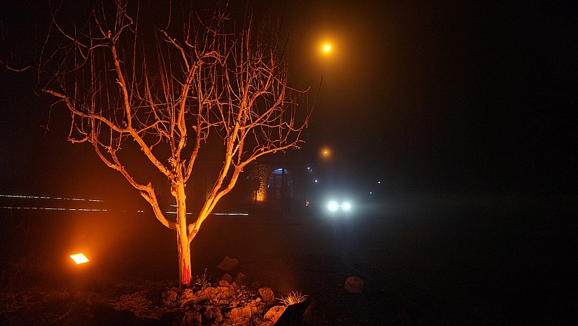 Harput Mahallesi'nde göz gözü görmedi