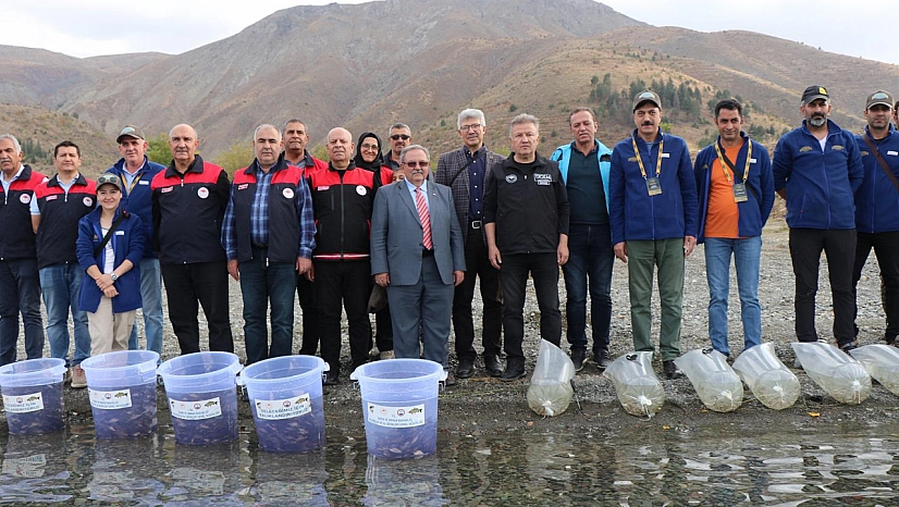 Hazar Gölü'nde Binlerce Balık Doğaya Salındı