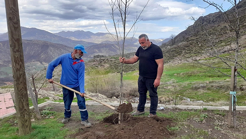 Kendisi yurt dışında ancak her yıl Tunceli'de ağaç diktiriyor