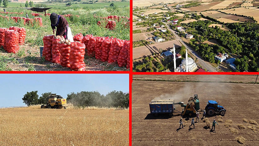 Köyler boşalıyor, üretim risk altında