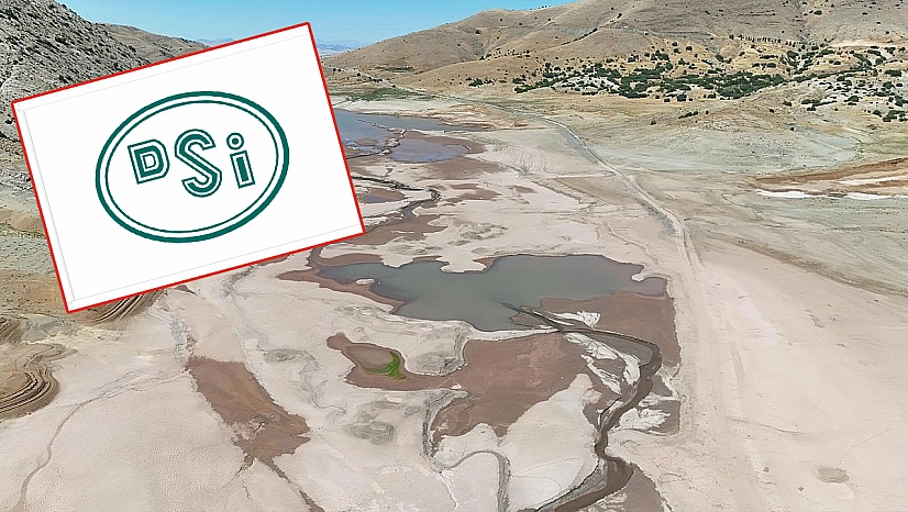 Mahcubiyetin sessizliği