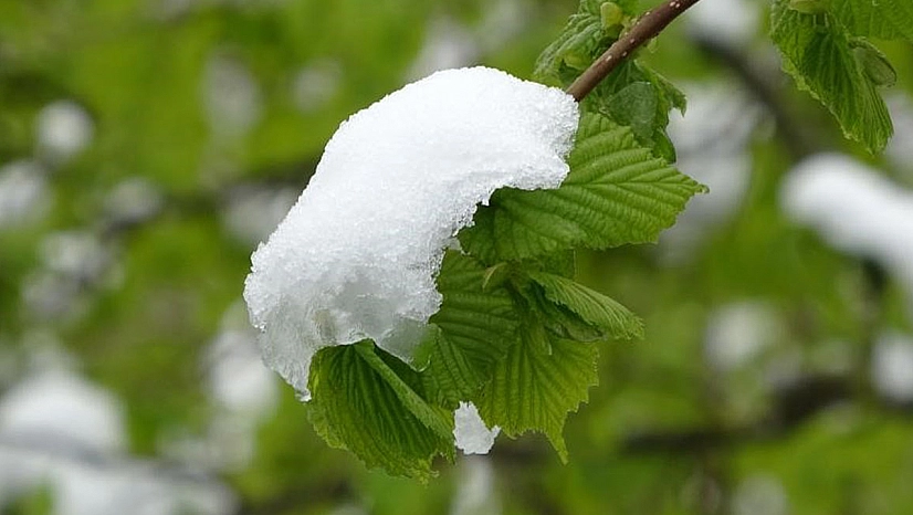 Meteoroloji uyardı! Elazığlılar tedbirinizi alın