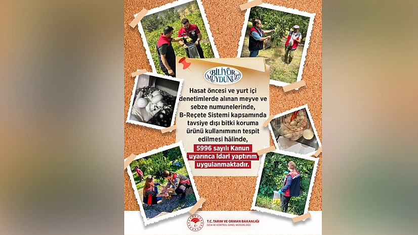 Meyve ve sebzede kalıntı takibi