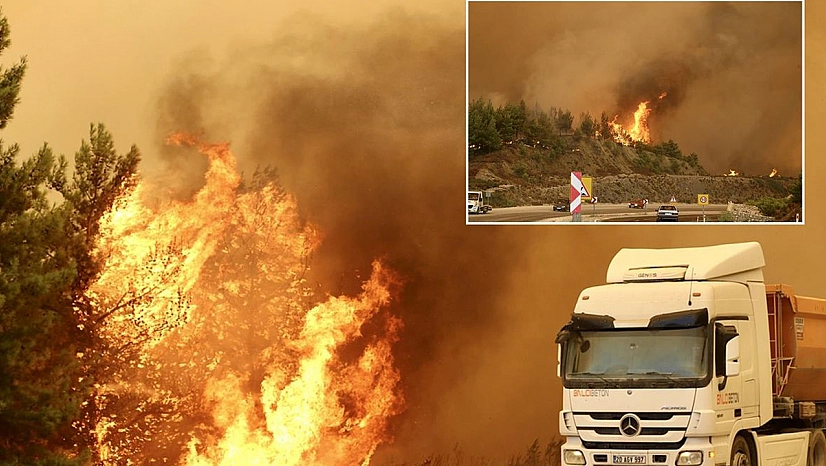 Muğla'da orman yangını: Evler tahliye edildi, yol kapatıldı