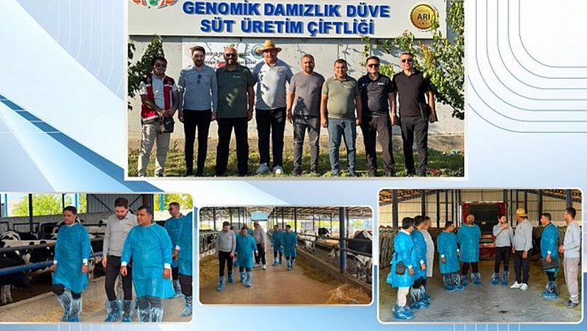 Niğde'de Türkiye'nin ilk hastalıktan ari genomik işletmesi değerlendirildi
