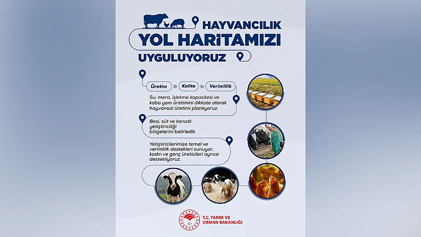 Tarım ve Orman Bakanlığı hayvancılık yol haritasını uygulamaya aldı