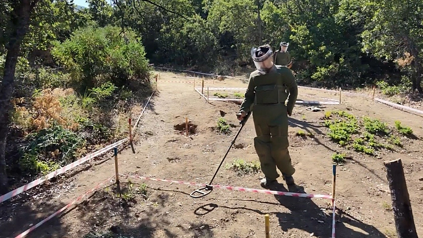 Terörsüz Türkiye ile Tunceli'de mayınlı araziler üretime kazandırılıyor