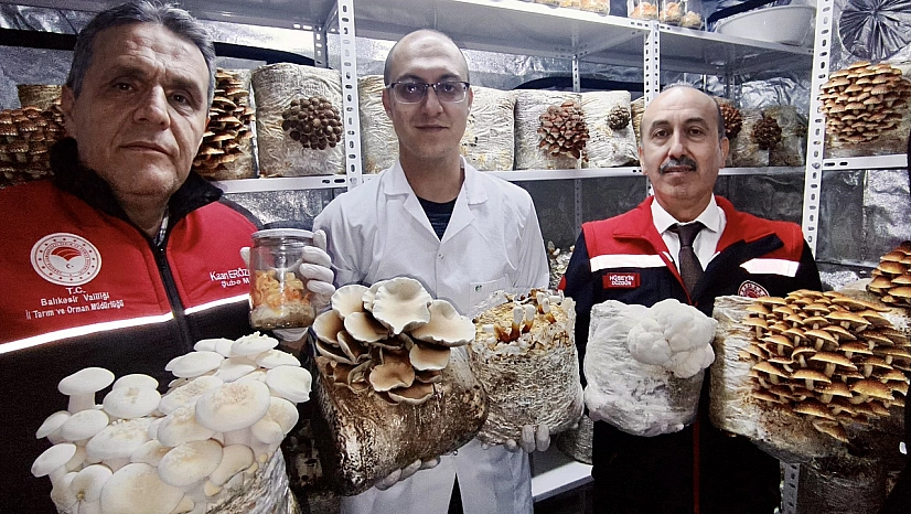 Tıbbi ve Egzotik Mantar üretimiyle tarım ve sağlık buluşuyor