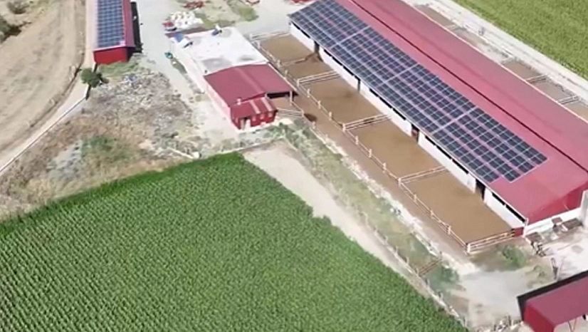 TKDK destekleriyle kırsalda verimlilik artıyor: 'Bereket Hikayeleri', başlıyor