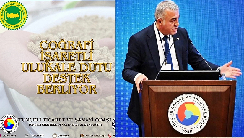 TTSO: 'Ulukale dutu, geçimdir, emektir, gelecektir'