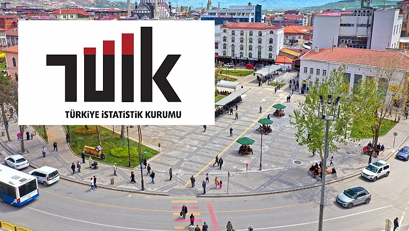 TÜİK Elazığ'da Kütüphane Sayısını açıkladı