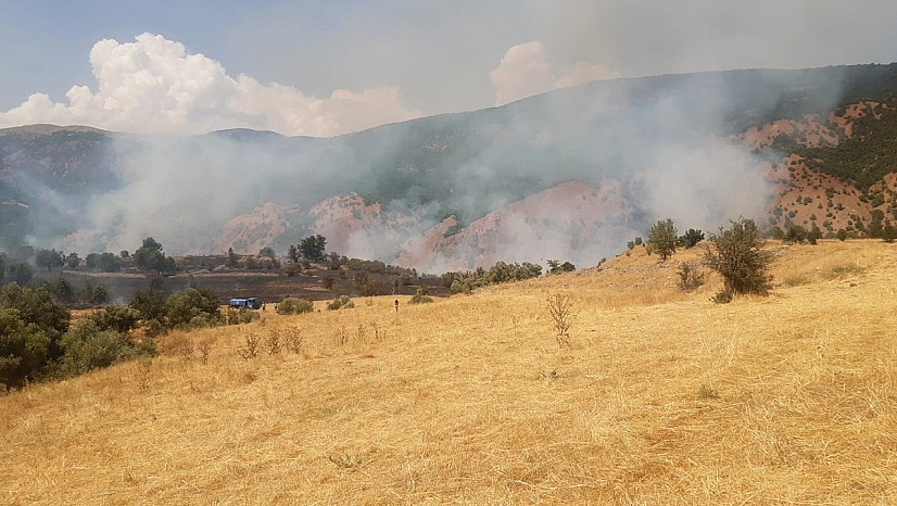 Tunceli'de çıkan yangın büyük ölçüde söndürüldü