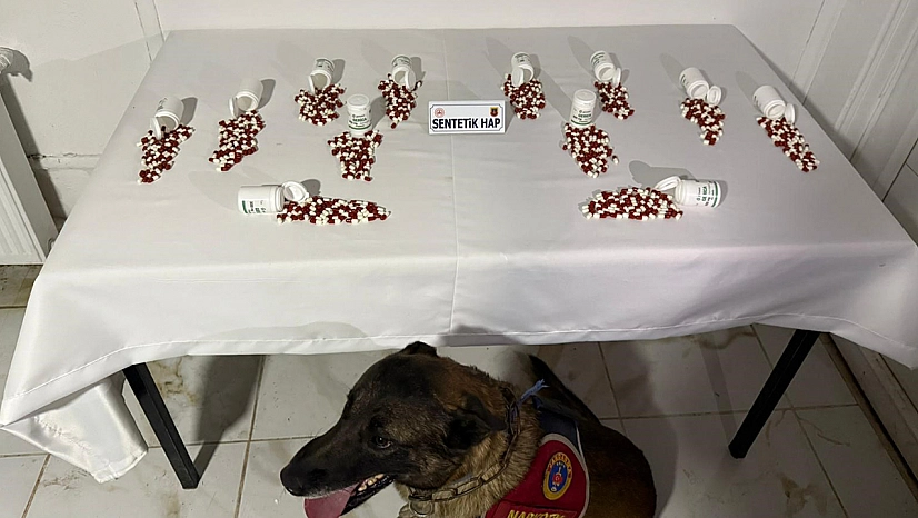 Tunceli'de narkotik operasyonu: 2 kişi yakalandı