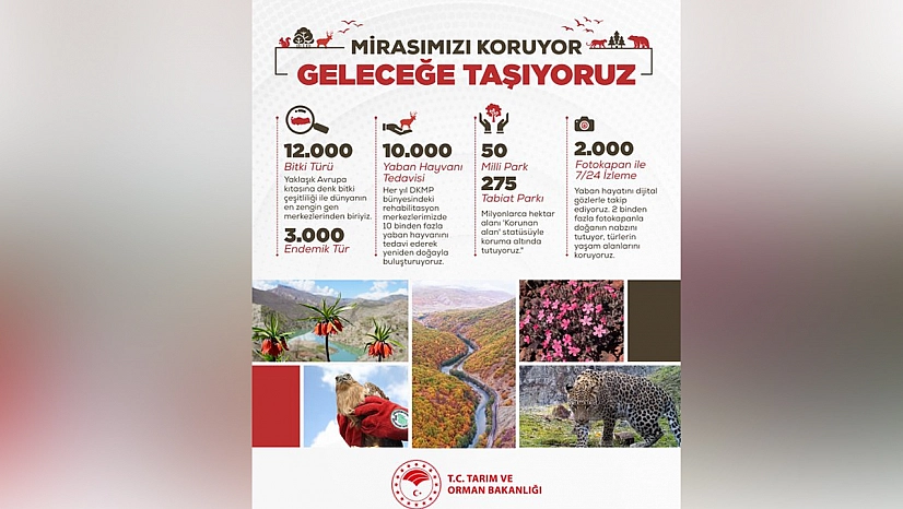 Türkiye'nin doğal mirası koruma altında