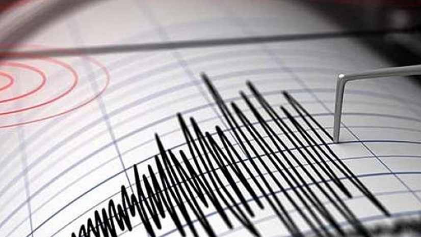 Van'da korkutan deprem